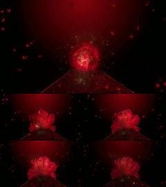 国产高清视频红色录像,国产高清视频中的革命记忆