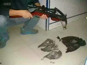 国产小钢炮小伙视频大全,小伙视频大全精选集