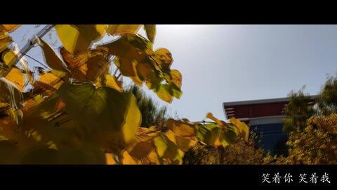 国产拍视频的bgm,唤醒视觉盛宴的听觉魔力